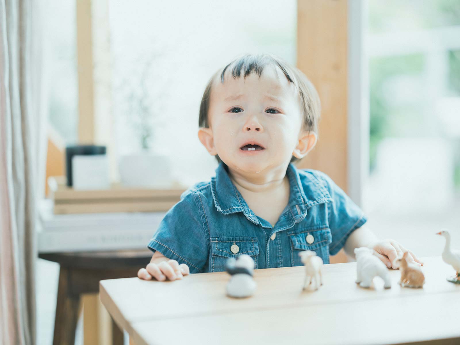 1歳バースデー、ゆうしんくん！泣きべそ