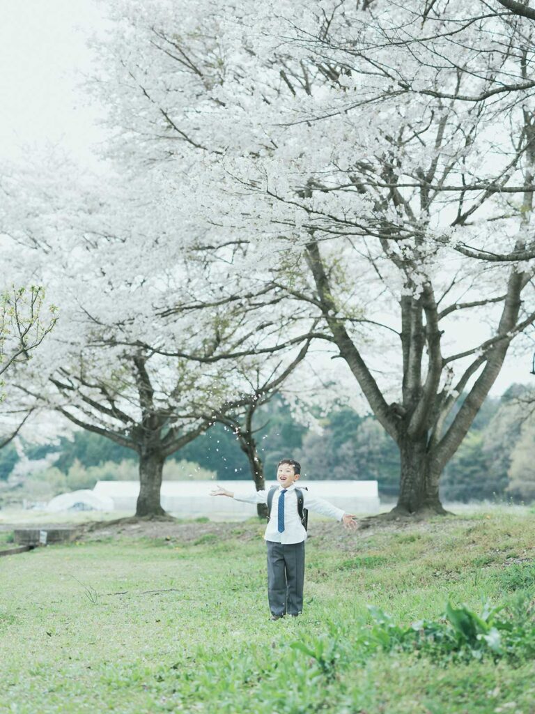 栃木県宇都宮市のフォトスタジオ、ろまんちっく村の桜、入学記念！まひろくん！桜とランドセル