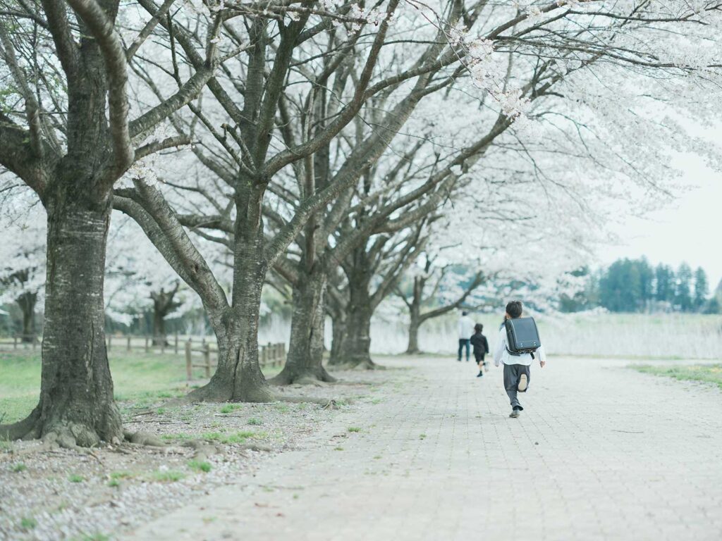 栃木県宇都宮市のフォトスタジオ、ろまんちっく村の桜、入学記念！まひろくん！全力疾走