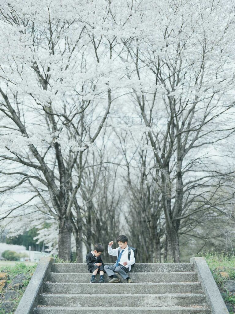 栃木県宇都宮市のフォトスタジオ、ろまんちっく村の桜、入学記念！まひろくん！兄弟で桜