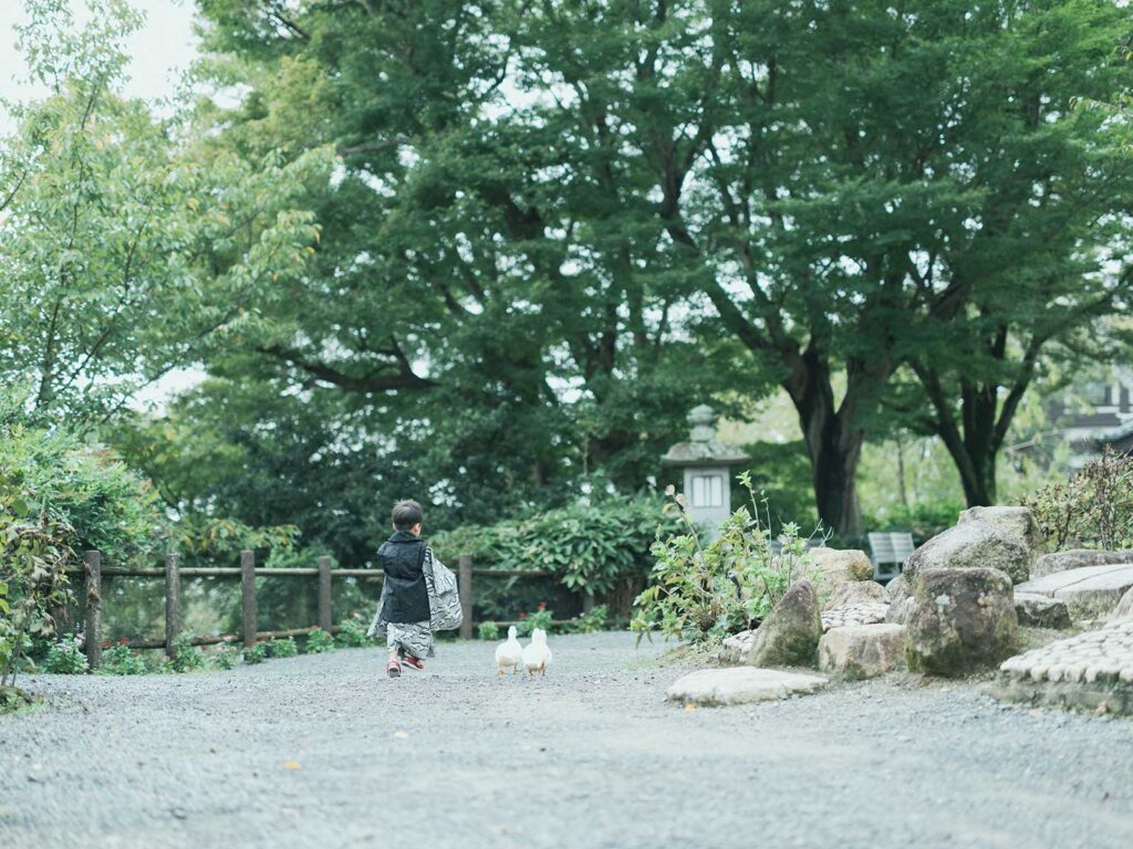 雨引観音(雨引山楽法寺)、3歳男の子の七五三、あらたくん！アヒルと一緒に