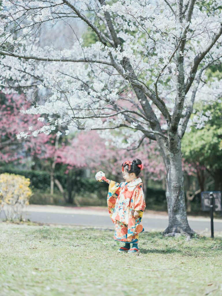 宇都宮市長岡公園、桜、れいかちゃん！桜