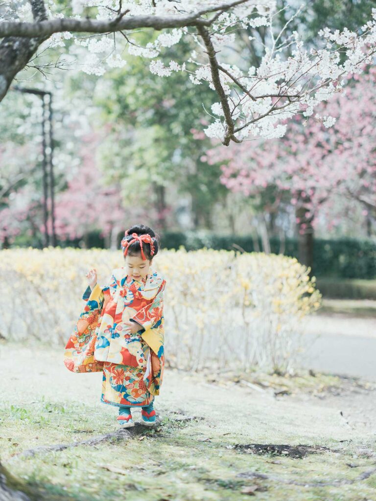 宇都宮市長岡公園、桜、れいかちゃん！可愛い足袋