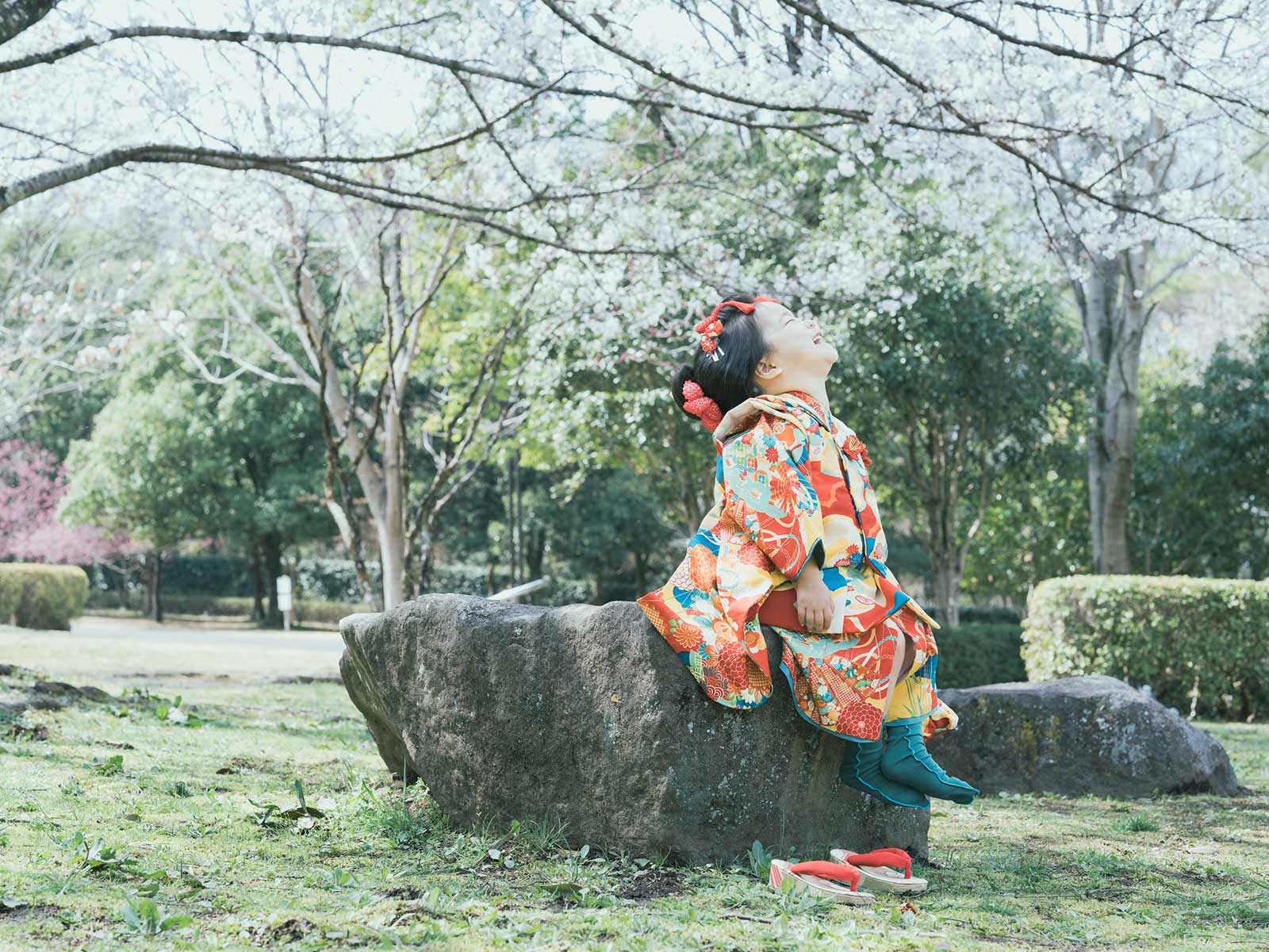 宇都宮市長岡公園、桜、れいかちゃん！日本髪