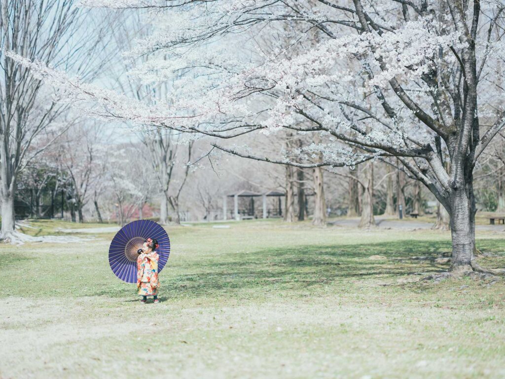 宇都宮市長岡公園、桜、れいかちゃん！番傘