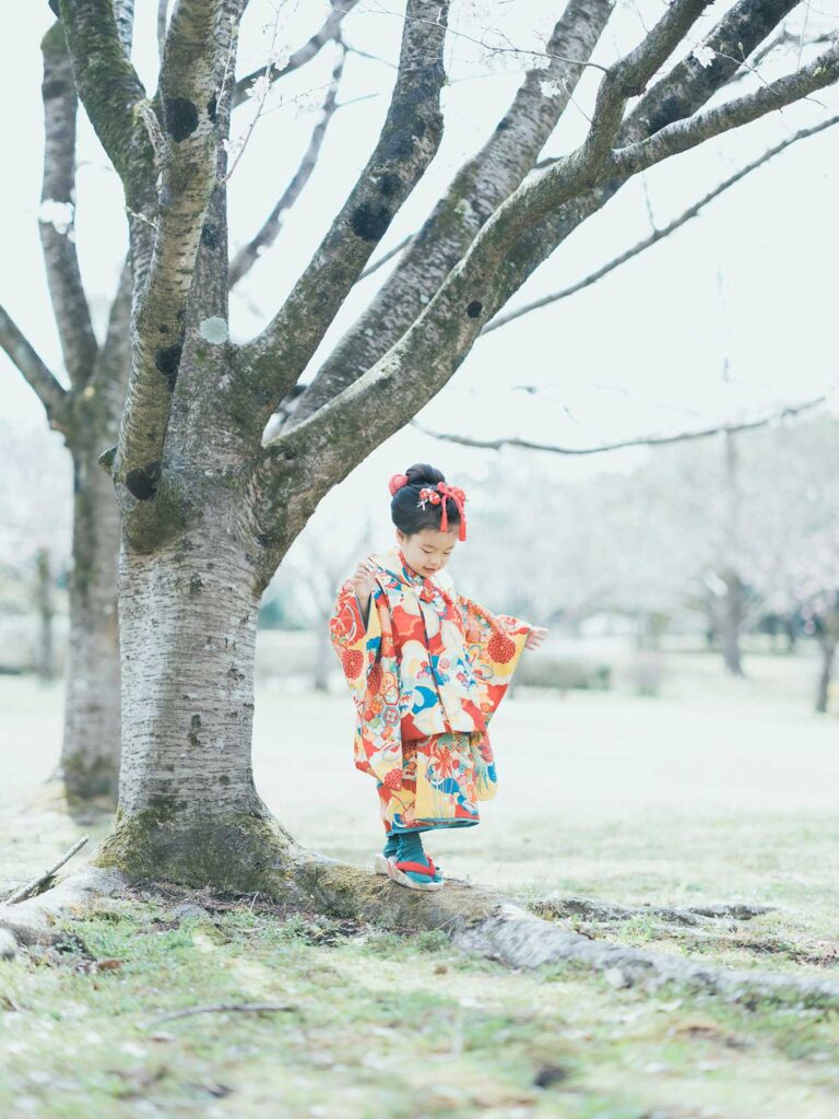 宇都宮市長岡公園、桜、れいかちゃん！
