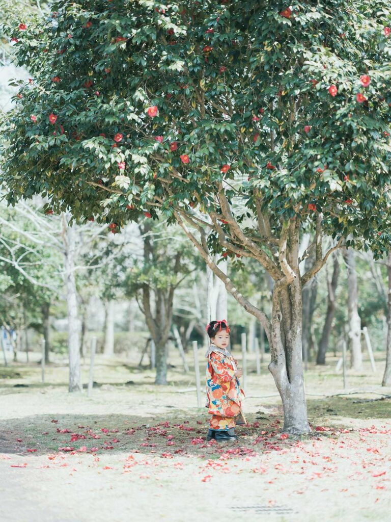 宇都宮市長岡公園、桜、れいかちゃん！椿
