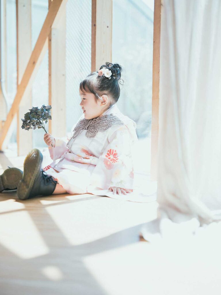 3歳七五三、めいちゃん！ドライ紫陽花