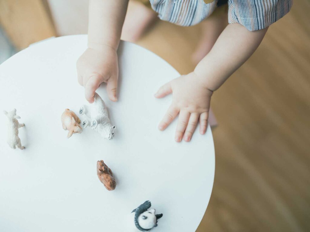 1歳バースデーフォト、ゆづきくん！おてて
