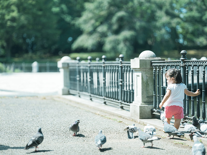 1歳バースデーフォト、はるちゃん！栃木県中央公園ロケ撮影。鳩