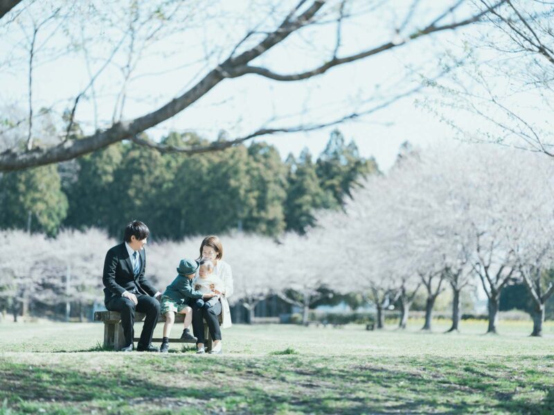 入学記念、ゆうとくん！桜と家族写真